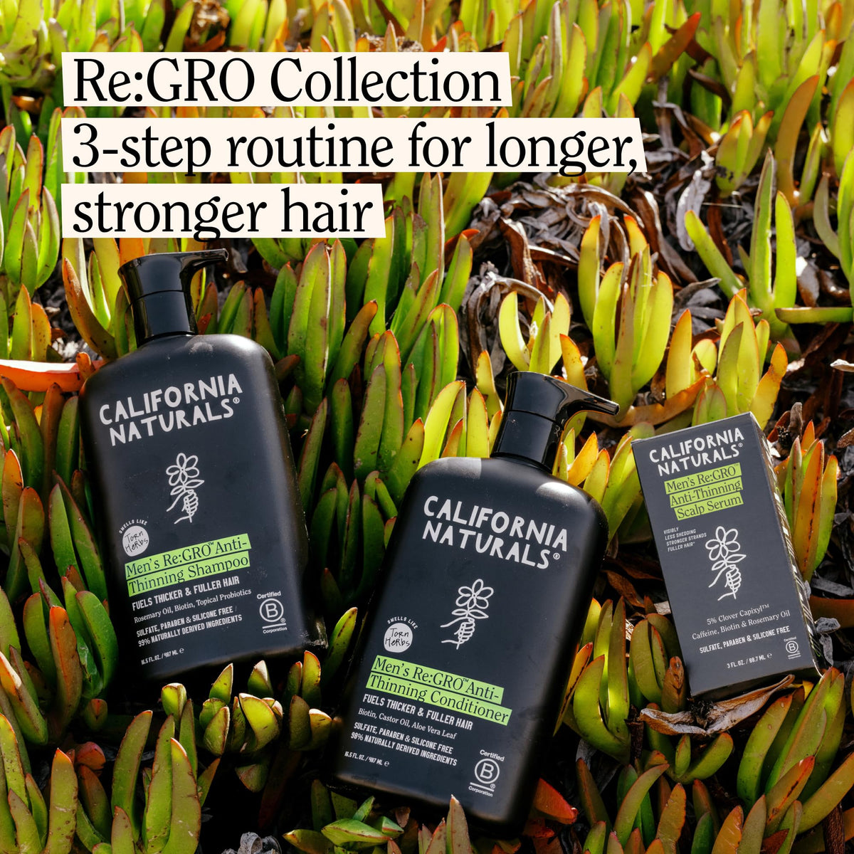 California Naturals Re:Gro being massaged into scalp demonstrating absorption