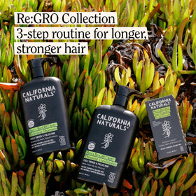 California Naturals Re:Gro being massaged into scalp demonstrating absorption