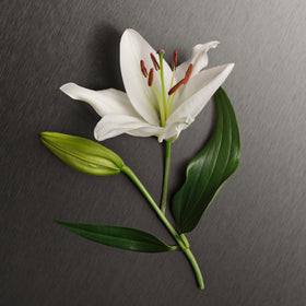 Calvin Klein Eternity lotion texture close-up demonstrating creamy absorbent finish