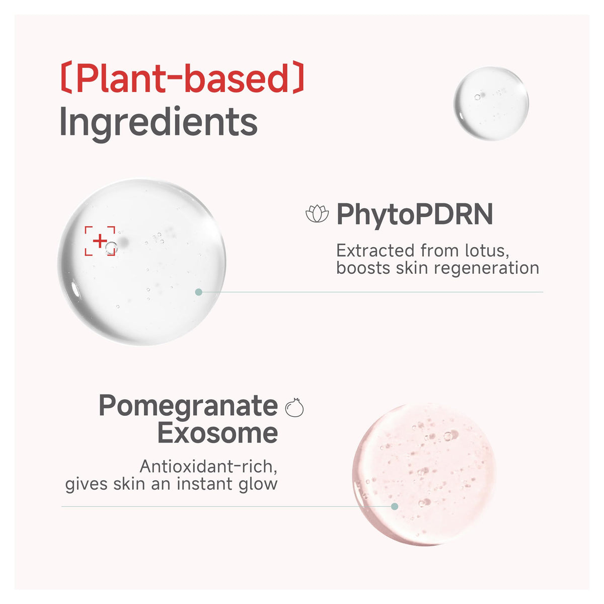 CANDORLOV lotus and pomegranate jar image highlighting botanical repair support