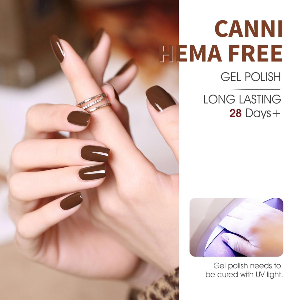 CANNI nail wheel swatches of six browns, accurate color matching tool