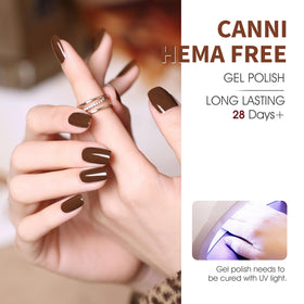 CANNI nail wheel swatches of six browns, accurate color matching tool