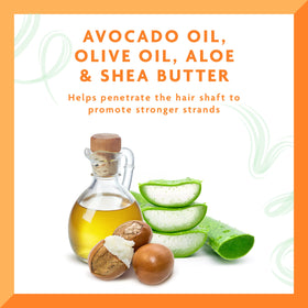Cantu avocado and shea butter ingredient focus highlighting nourishing oils