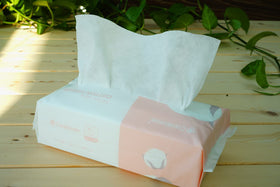 careboree wipes packed in a travel pouch in a bag, portable convenience for outings