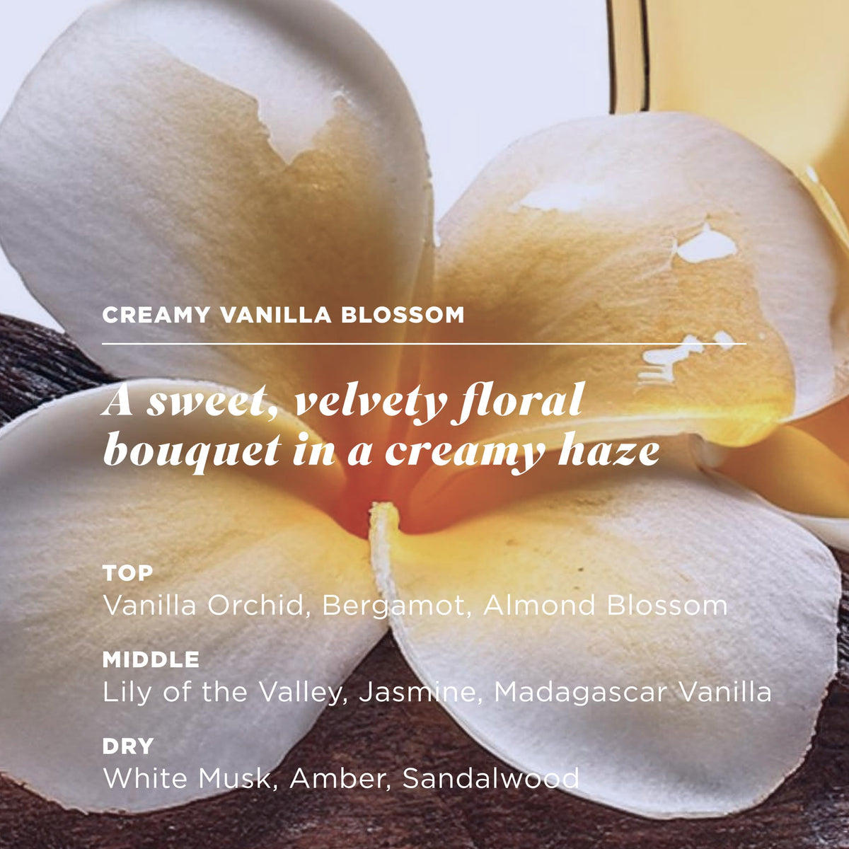 Caress label close-up highlighting niacinamide and moisturizer benefits