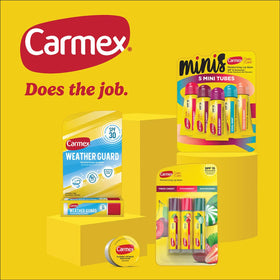 Carmex variety pack opened to reveal tubes and sticks for easy portability