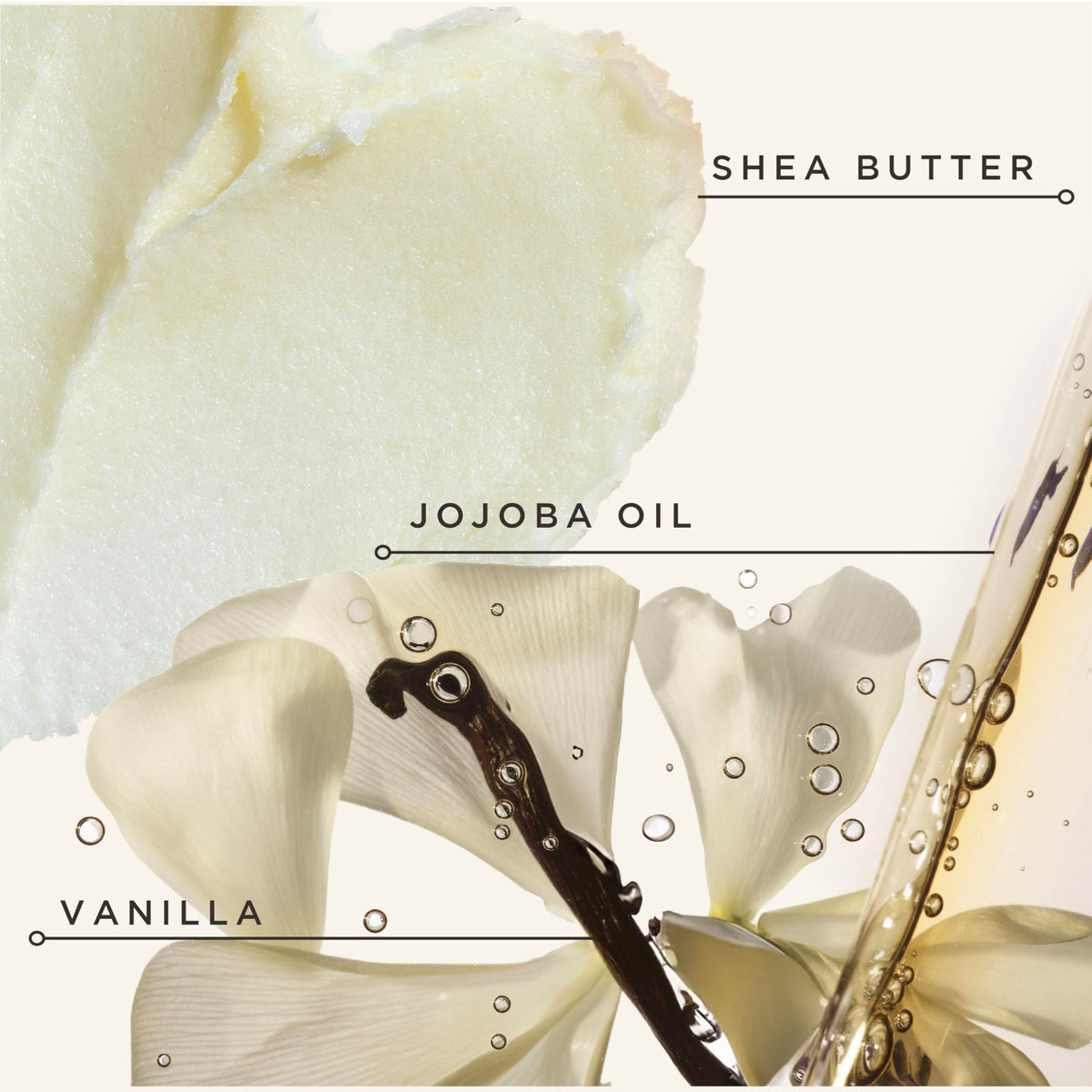 Carol's Daughter Black Vanilla held in hand next to ruler showing 12 fl oz scale for sizing clarity