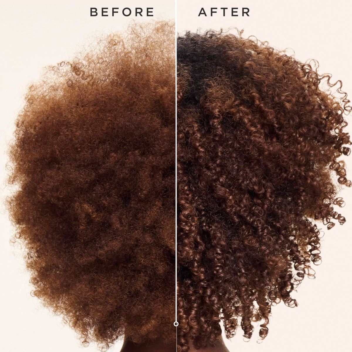 Carol's Daughter castor oil and black cumin seed visual highlighting nourishing oils