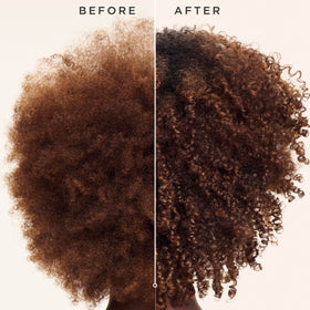 Carol's Daughter castor oil and black cumin seed visual highlighting nourishing oils