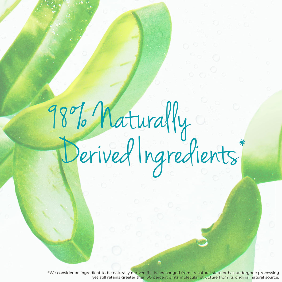Carol's Daughter ingredients closeup showing aloe focus and naturally derived components