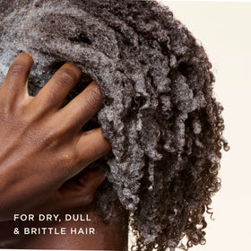 Carol's Daughter shampoo pouring texture demonstrating creamy consistency for gentle cleansing