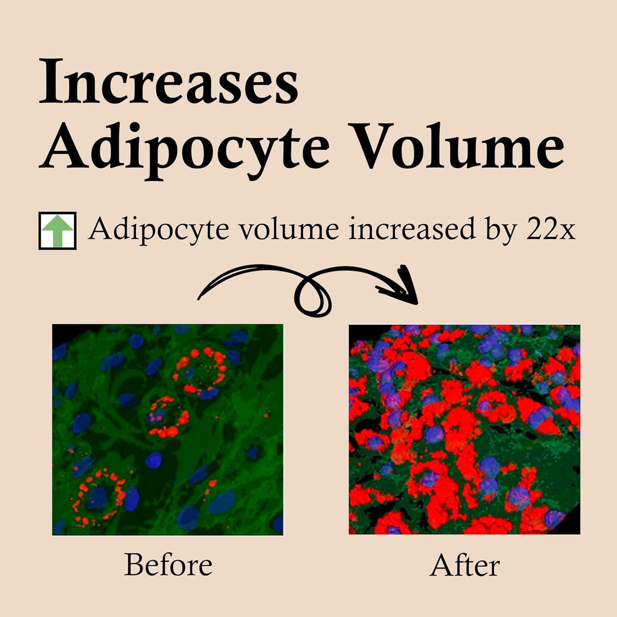 CELDYQUE Volufiline ingredient close-up illustrating plumping benefits and volume support