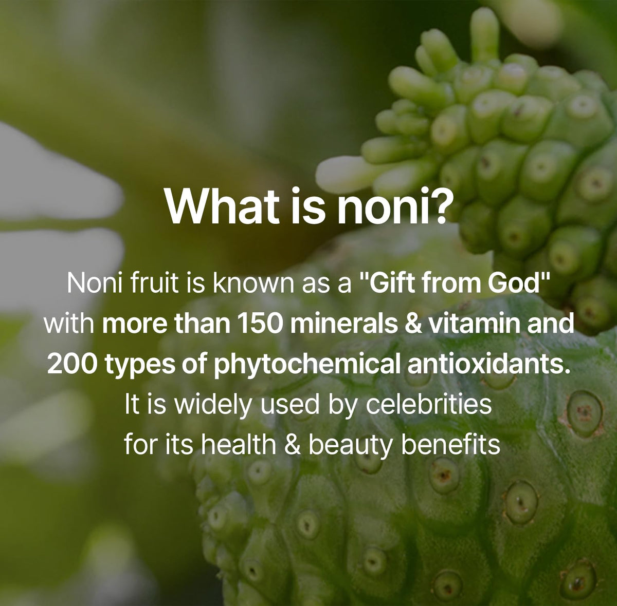 celimax close-up noni extract visual highlighting soothing botanical benefit
