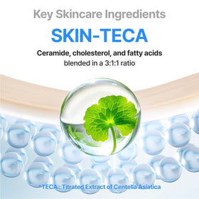 CENTELLIAN 24 applied on hand demonstrating quick absorption and no white cast