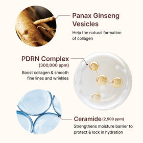 CENTELLIAN 24 ingredient label highlighting PDRN, collagen, elastin and ceramide benefits