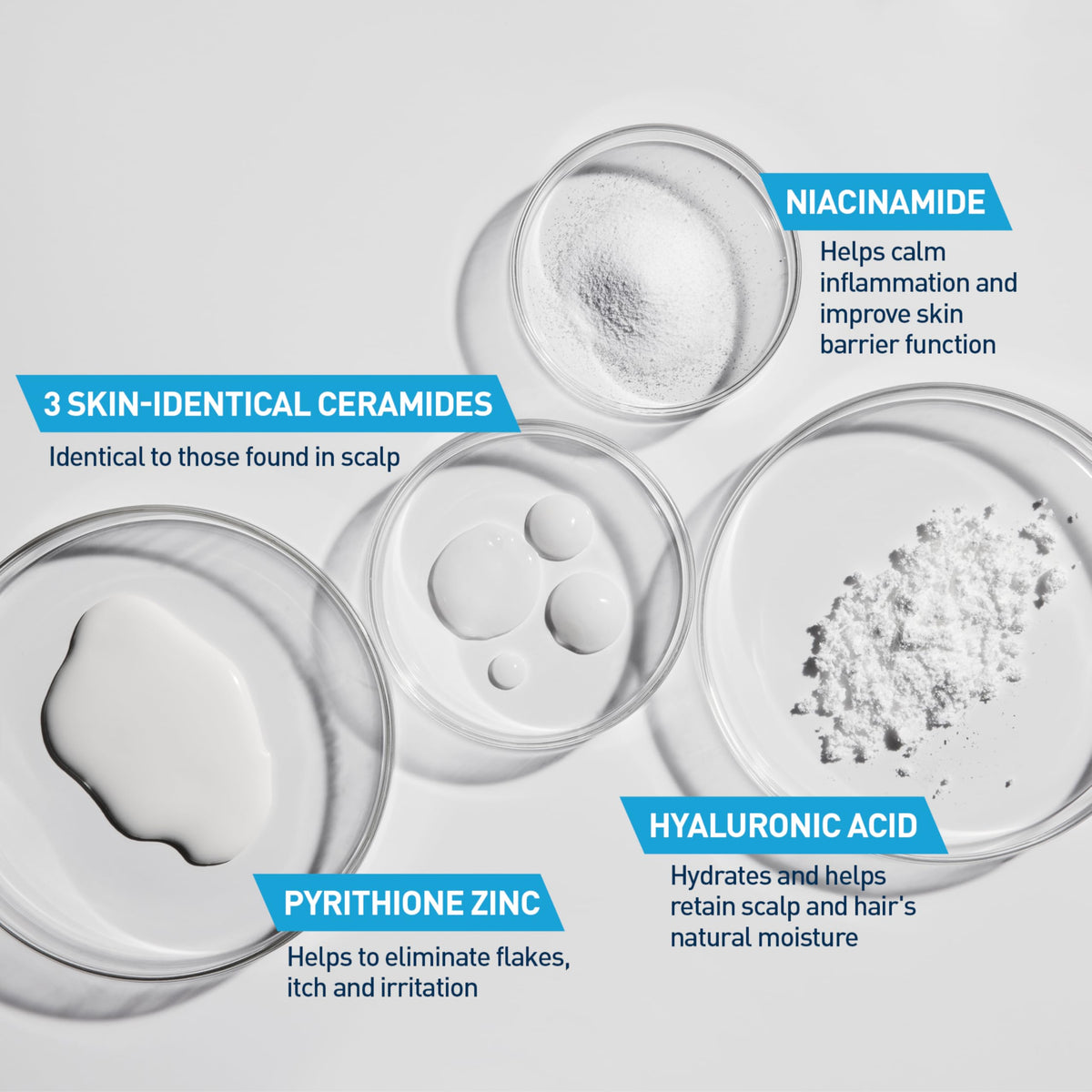Hand holding 12 oz CeraVe bottle to show product size and scale