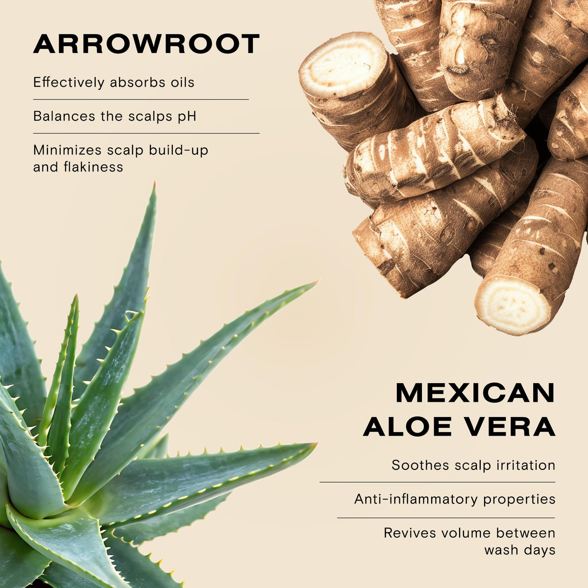 Ceremonia ingredients display with arrowroot clay and aloe emphasizing natural blend