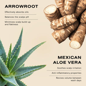 Ceremonia ingredients display with arrowroot clay and aloe emphasizing natural blend