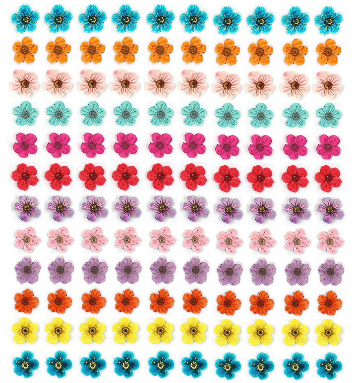 CHANGAR front packaging showing 120 tiny dried flowers, perfect for nail art