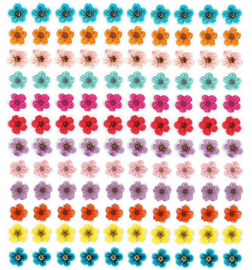 CHANGAR front packaging showing 120 tiny dried flowers, perfect for nail art