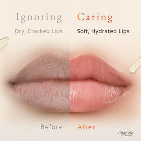 CHAP-LIP flavor collection display with watermelon, tangerine, mango, strawberry for variety