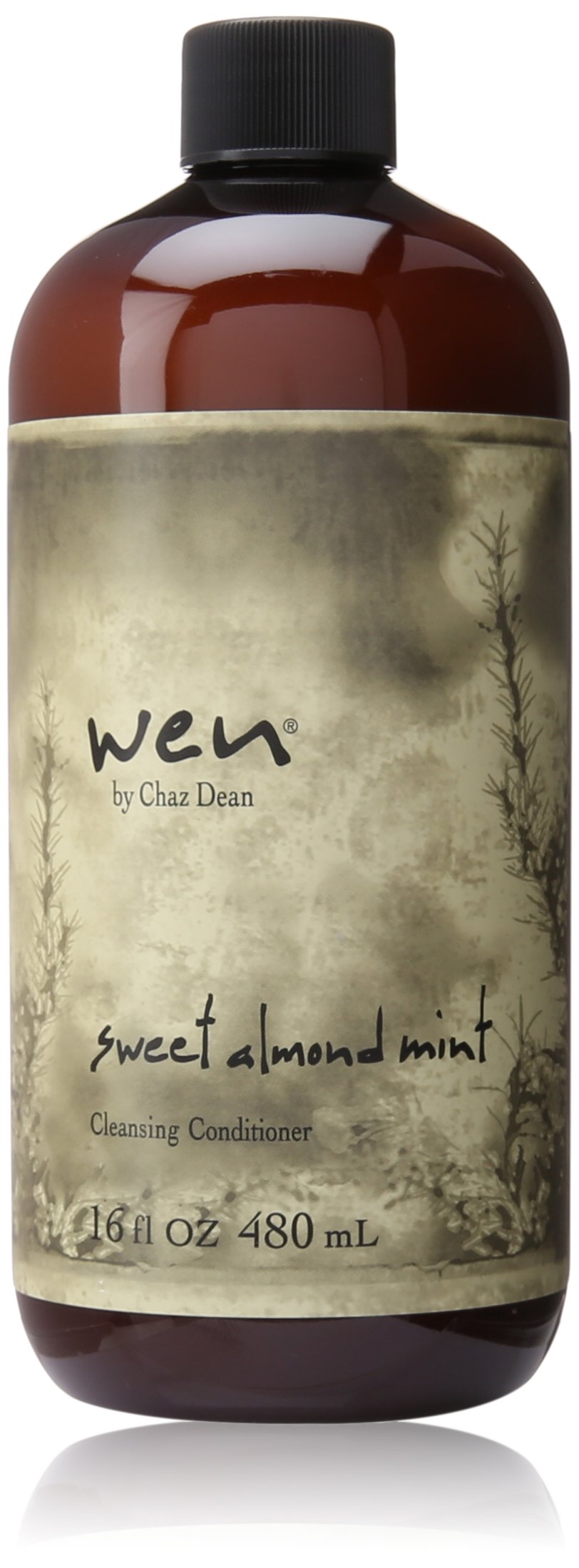 chaz dean bottle front view showing label and 16 oz size with clear benefits