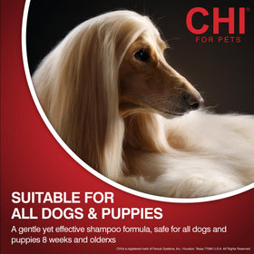 CHI being applied to a dog in bath showing easy application