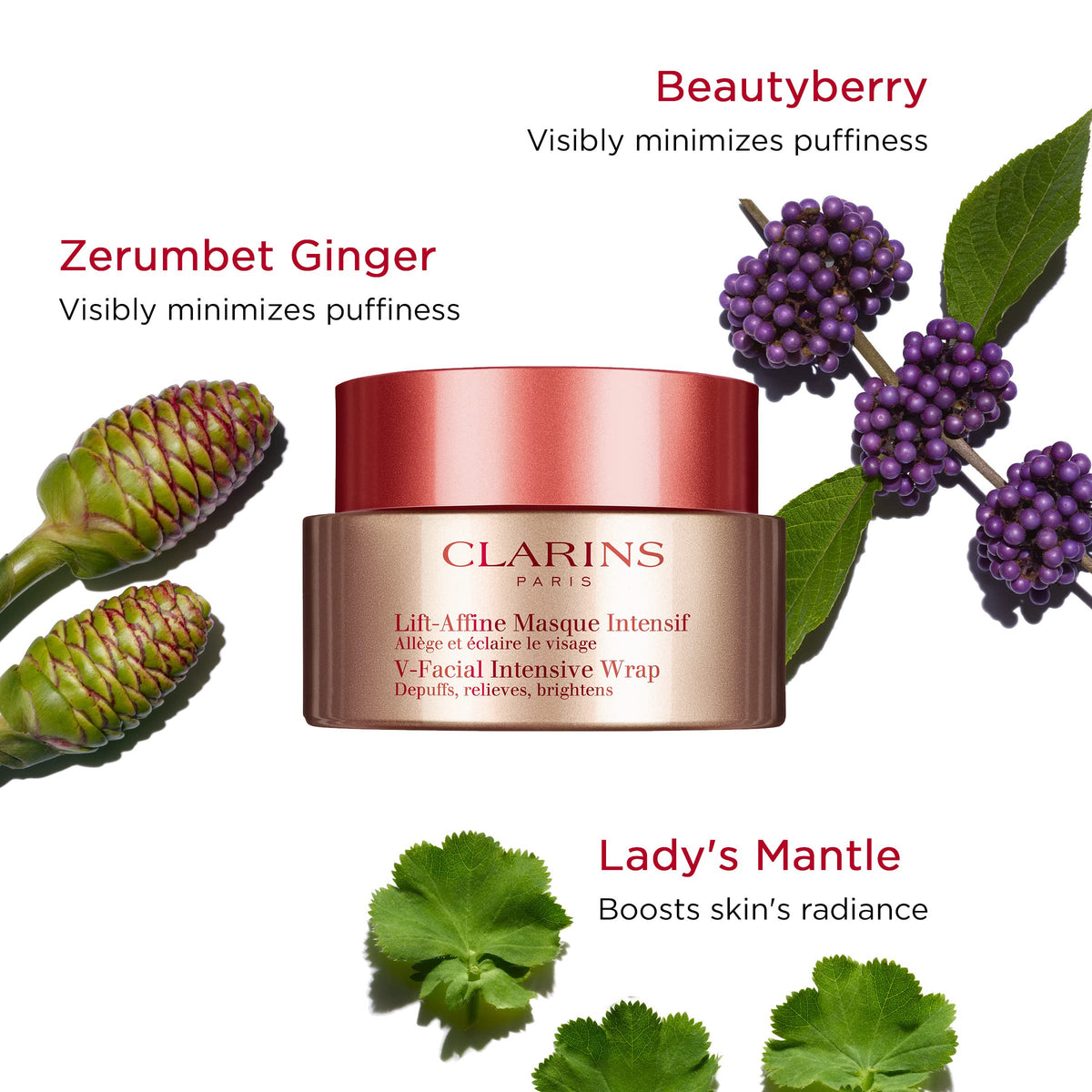 CLARINS Beautyberry and Ginger ingredients display, illustrates natural-tone benefits