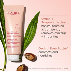 Clarins organic shea butter ingredient visual highlighting nourishing emollient for softness