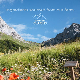 Clarins label ingredients closeup highlighting exfoliating derivative and clarity