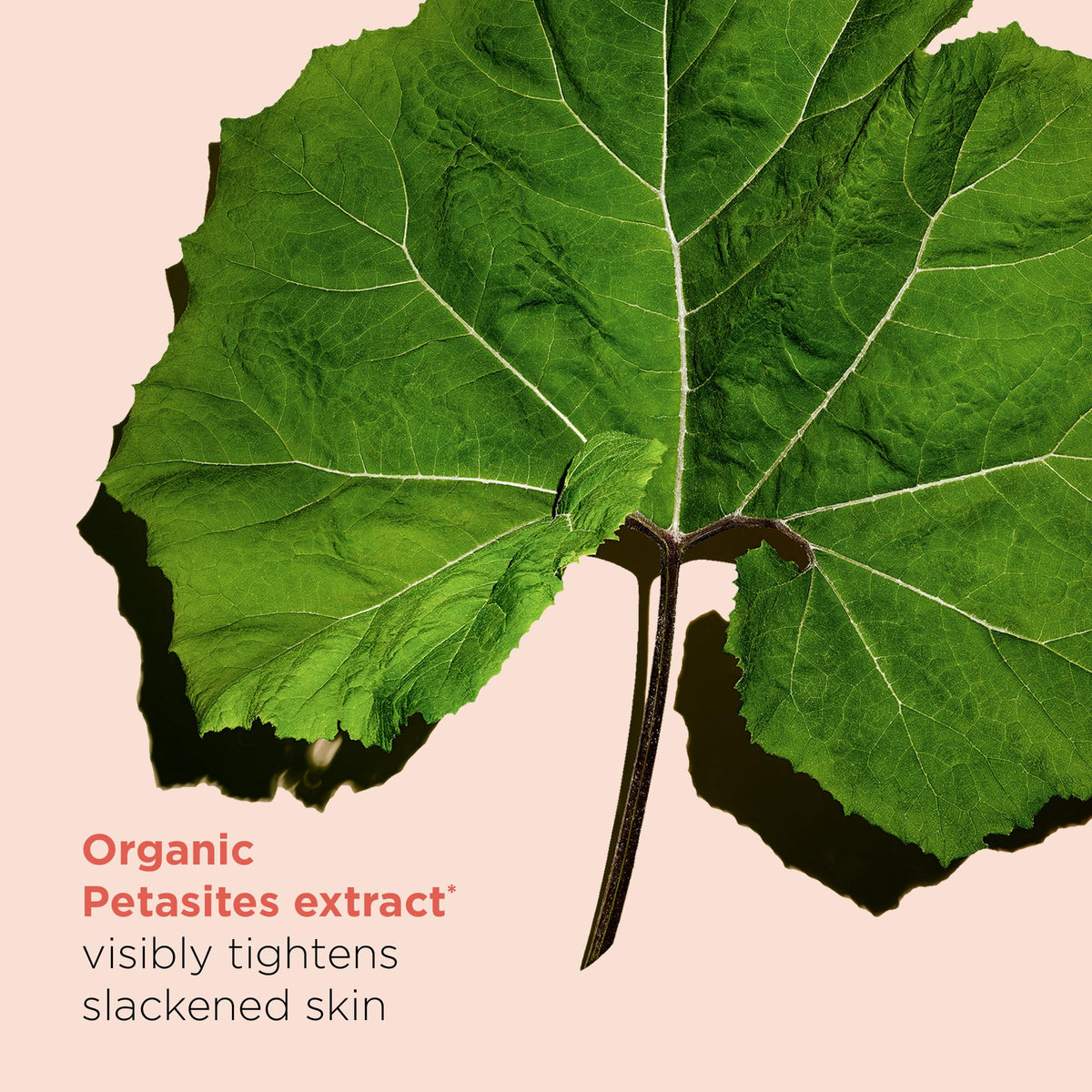 Clarins product with organic shea butter and aloe vera ingredients showcased