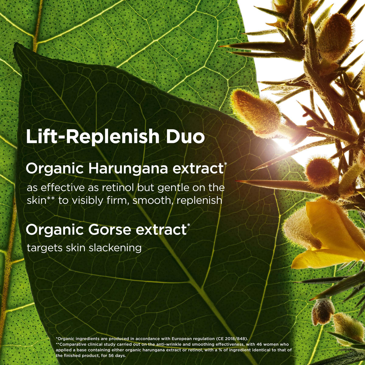 Clarins Organic Harungana ingredient visual highlighting targeted rejuvenation