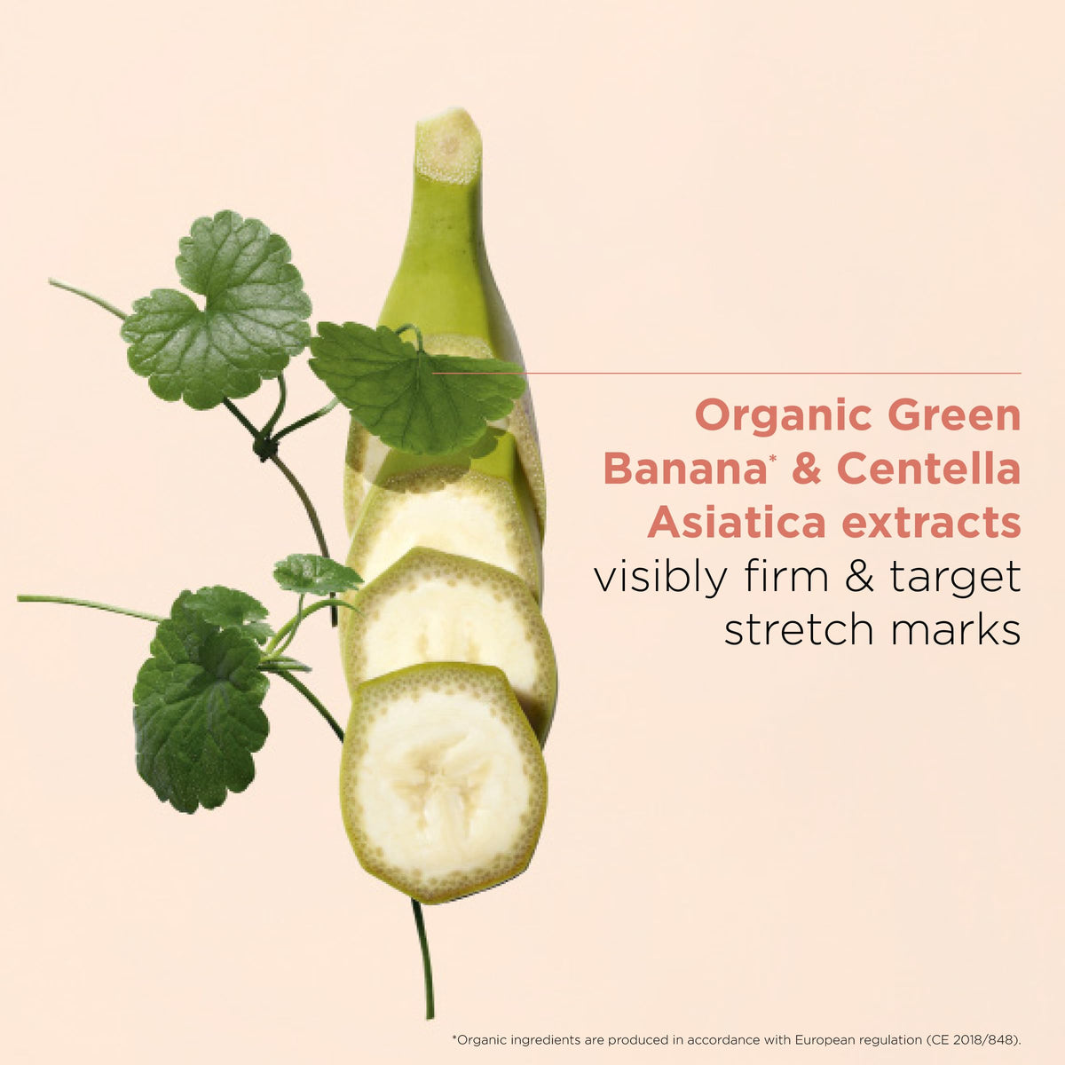Clarins cream texture close-up demonstrating fast absorption