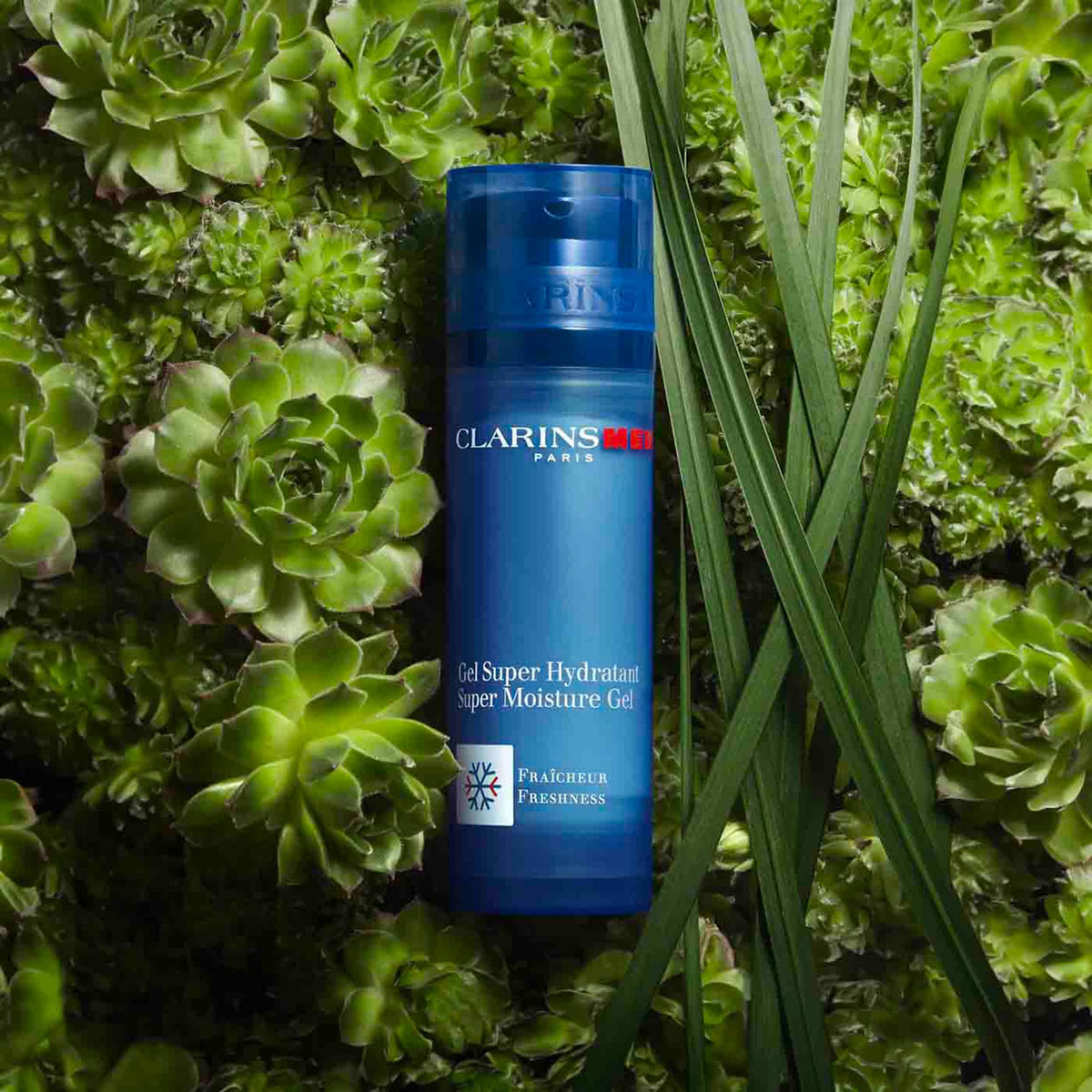 CLARINS label detail showing ingredients list for ingredient-aware shoppers