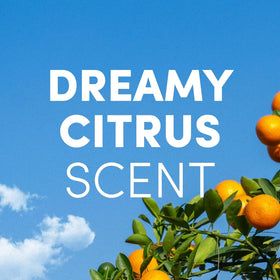 Clean Revolution pouring Dreamy Citrus refill into a foaming dispenser for convenience