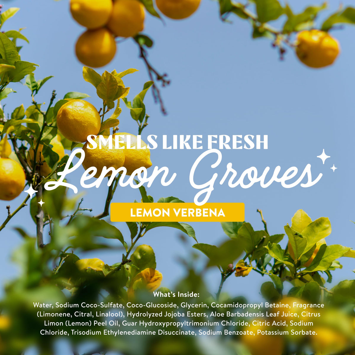 Cleancult lemon verbena ingredients label showing aloe vera and essential oils