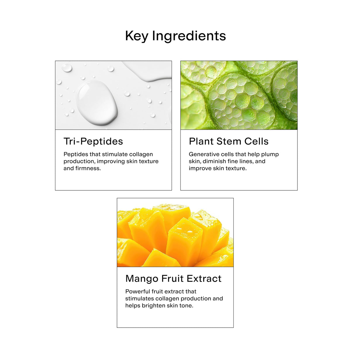 CLEARSTEM nighttime routine setting showing serum as part of evening skin replenishment