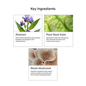 CLEARSTEM label ingredients closeup showing transparency and key actives