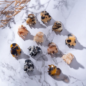 Cobahom clips used along braid to add decorative accents and secure strands