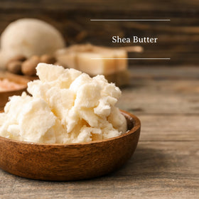 C. O. Bigelow ingredients display shea and jojoba highlighting natural hydration
