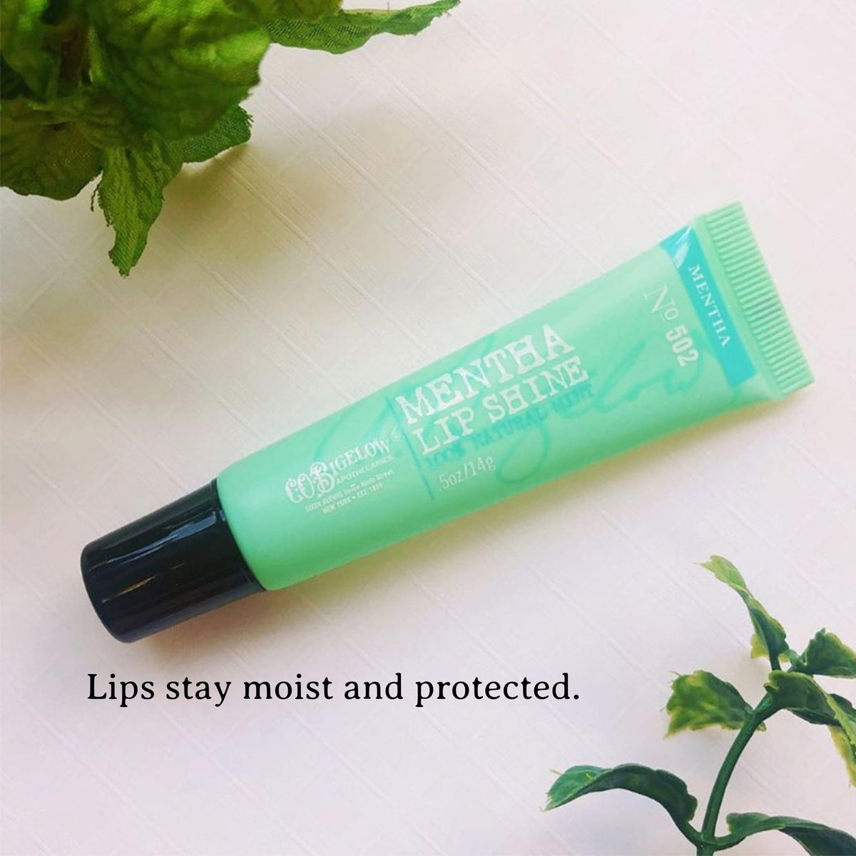 C. O. Bigelow trio inside travel pouch demonstrating portable skincare solution