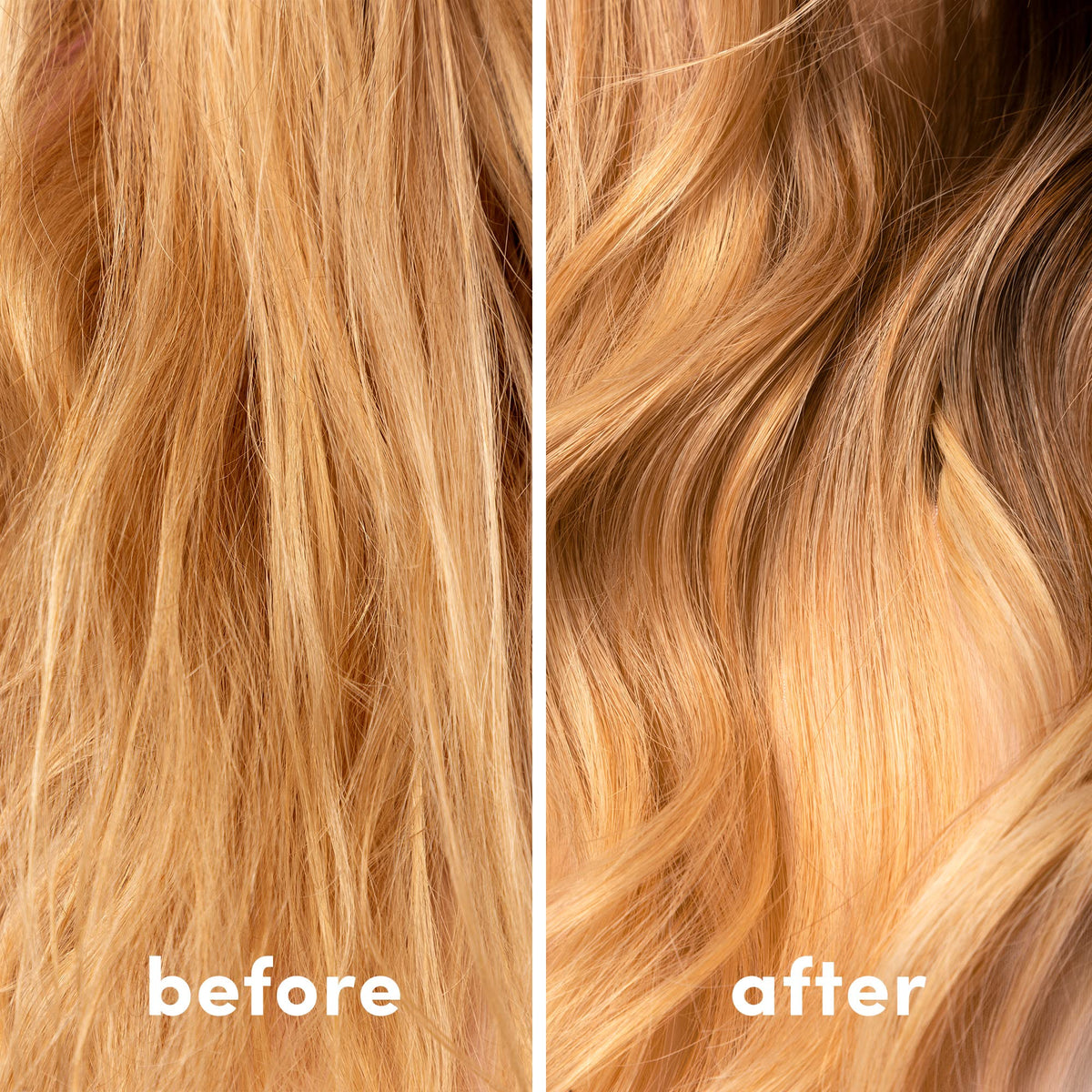 Coco & Eve coconut and avocado ingredients highlighting nourishing properties