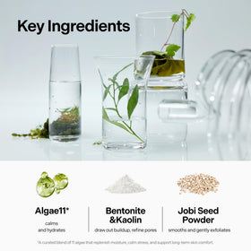 coeternal ingredient flatlay with seaweed and clay highlighting natural actives