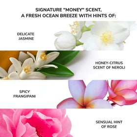 COLOR WOW ingredients label close-up showing formulation transparency benefit