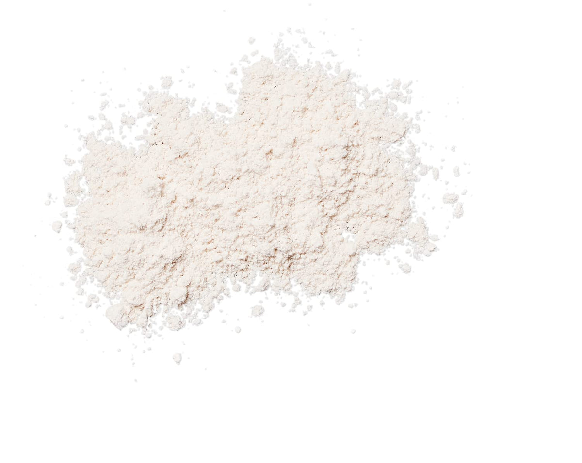 Colorescience brush opened revealing powder tip for quick oil absorption benefit