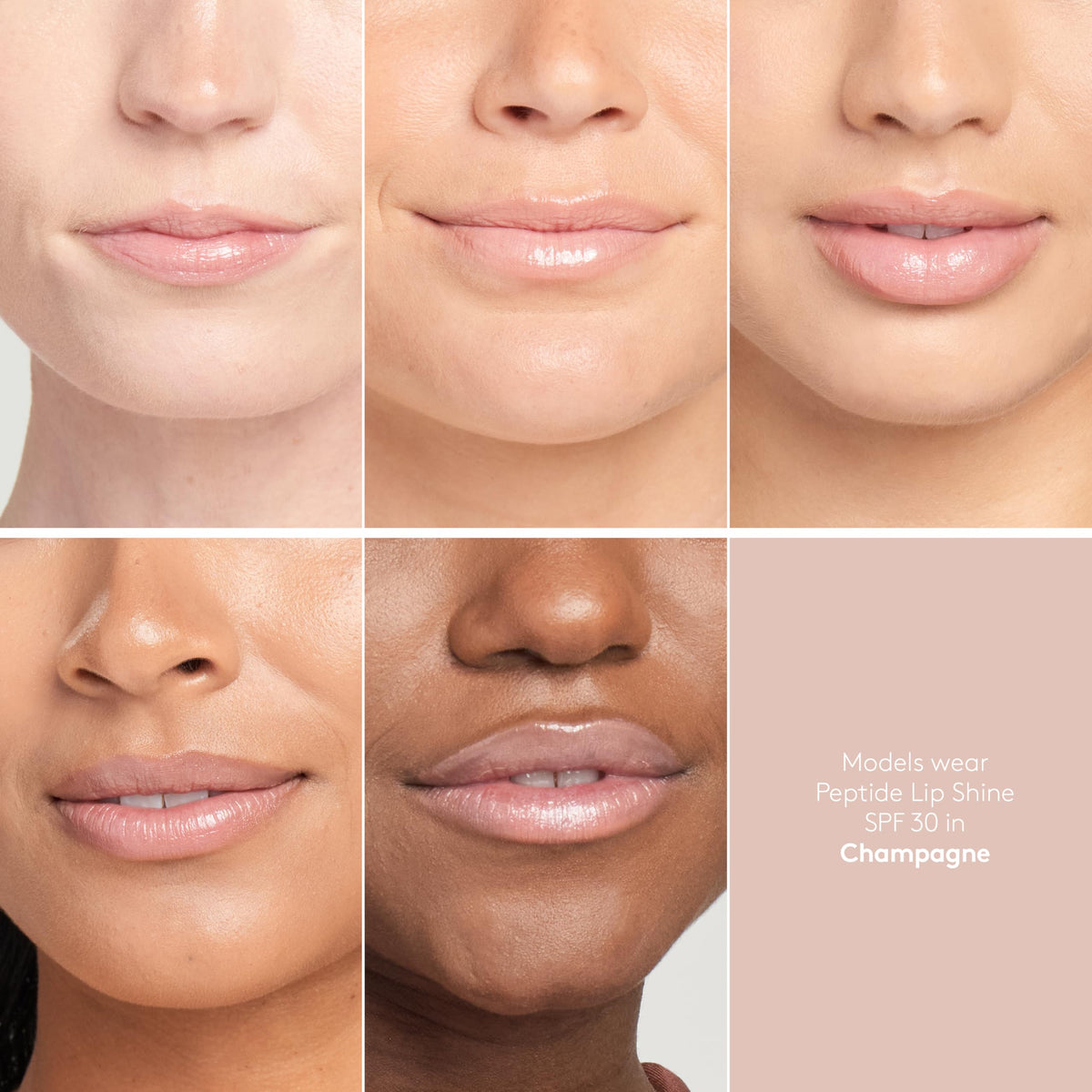 Colorescience Peptide Lip Shine Champagne texture swipe showing glossy, hydrating finish