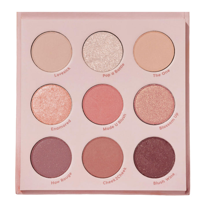 ColourPop palette front open showing all blush crush shades and finishes for versatile looks