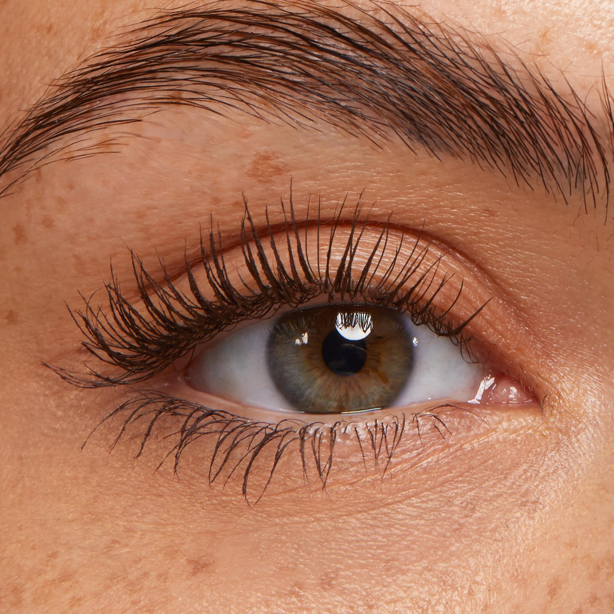 ColourPop tapered brush tip demonstrating reach to inner and corner lashes