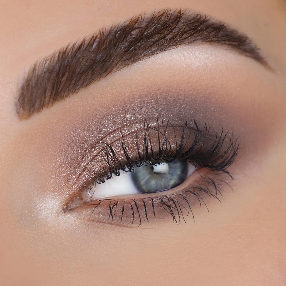 ColourPop Stone Cold Fox applied on model eyes demonstrating cool-toned smoky and metallic dimension