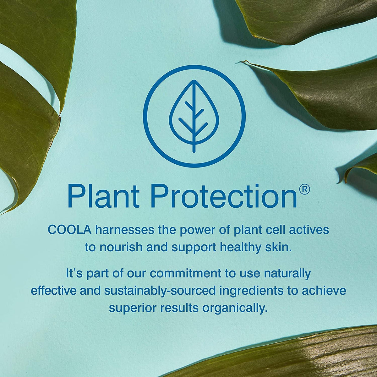 COOLA back label close-up listing ingredients and safety information benefit